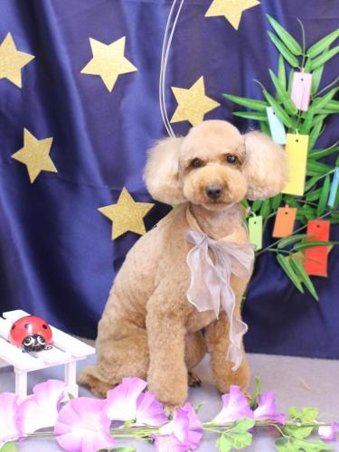 20230722カイくん